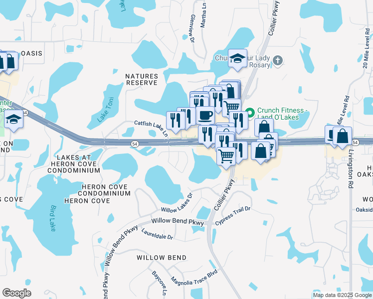 map of restaurants, bars, coffee shops, grocery stores, and more near 22621 Saint Thomas Circle in Lutz