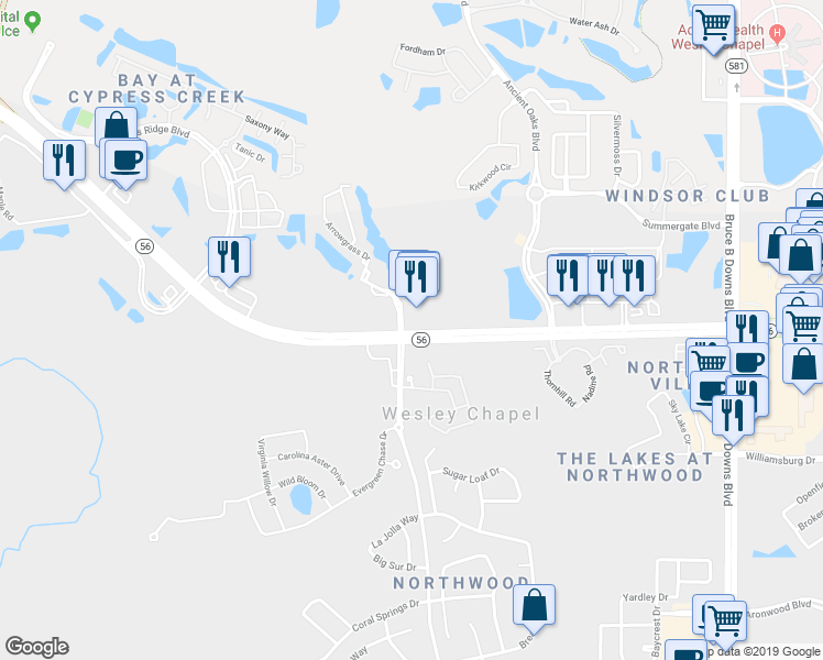 map of restaurants, bars, coffee shops, grocery stores, and more near 27209 Highway 56 in Wesley Chapel