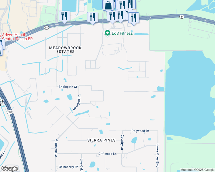 map of restaurants, bars, coffee shops, grocery stores, and more near 17510 Cedarwood Loop in Lutz