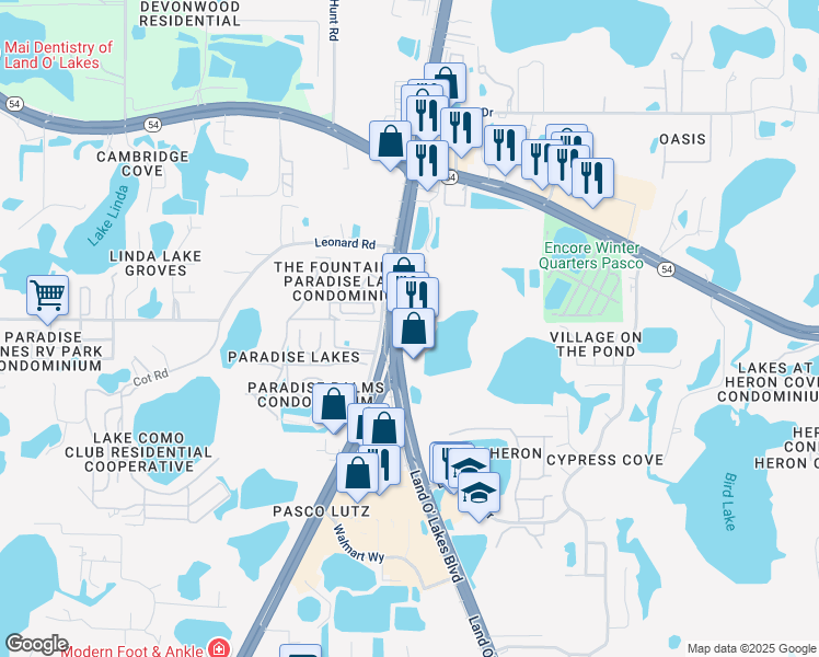 map of restaurants, bars, coffee shops, grocery stores, and more near 1930 Land O' Lakes Boulevard in Lutz