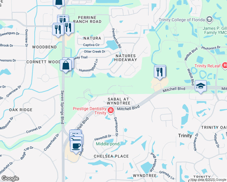 map of restaurants, bars, coffee shops, grocery stores, and more near 7335 Oconto Drive in New Port Richey