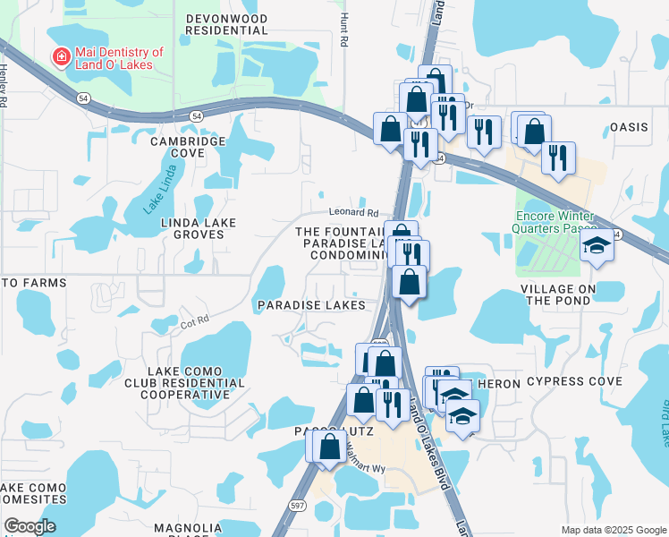map of restaurants, bars, coffee shops, grocery stores, and more near 2001 Brinson Road in Lutz