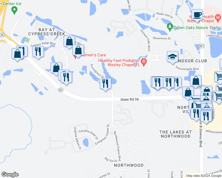 map of restaurants, bars, coffee shops, grocery stores, and more near 2301 Arrowgrass Drive in Wesley Chapel