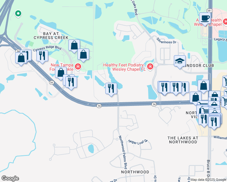 map of restaurants, bars, coffee shops, grocery stores, and more near 2301 Arrowgrass Drive in Wesley Chapel