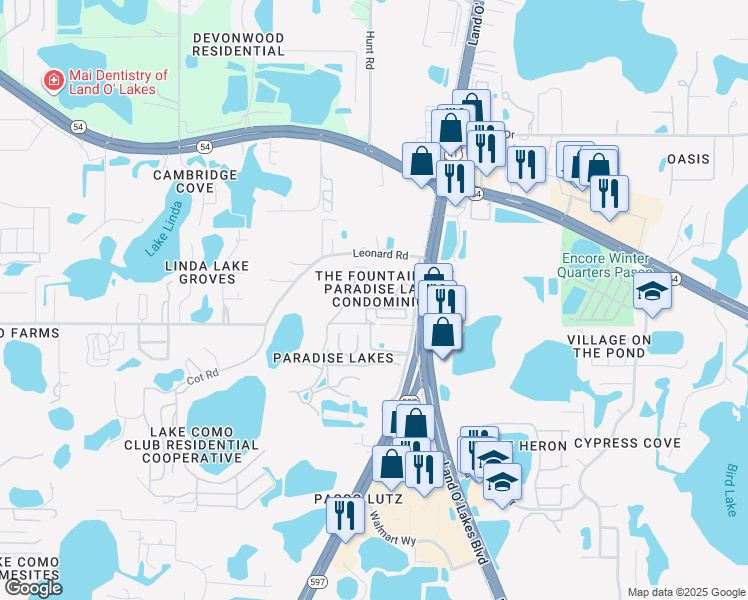 map of restaurants, bars, coffee shops, grocery stores, and more near Fountain View Lane in Lutz