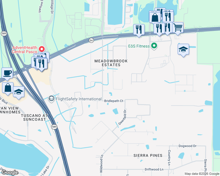 map of restaurants, bars, coffee shops, grocery stores, and more near 2100 Meadowbrook Drive in Lutz