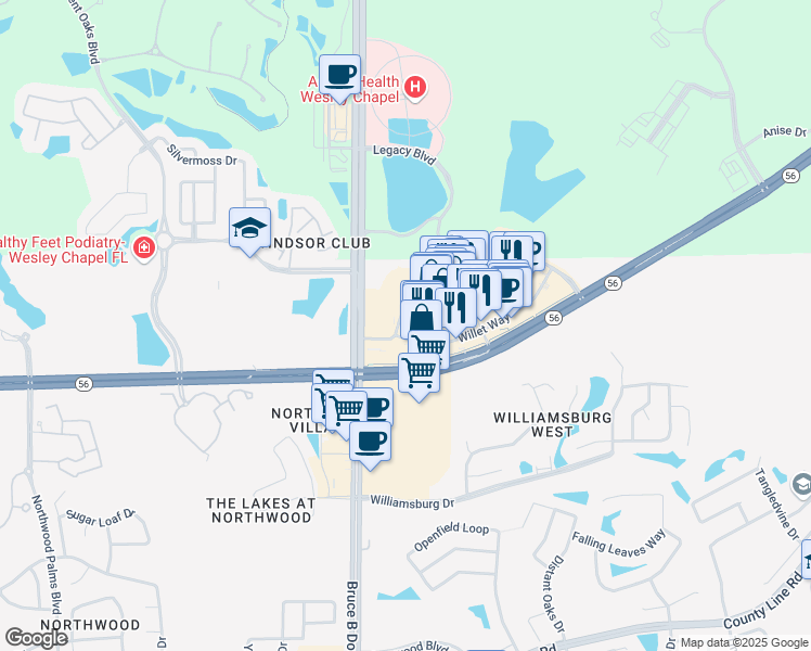 map of restaurants, bars, coffee shops, grocery stores, and more near 28211 Paseo Drive in Wesley Chapel