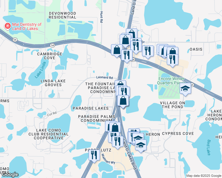 map of restaurants, bars, coffee shops, grocery stores, and more near 2127 Brinson Road in Lutz