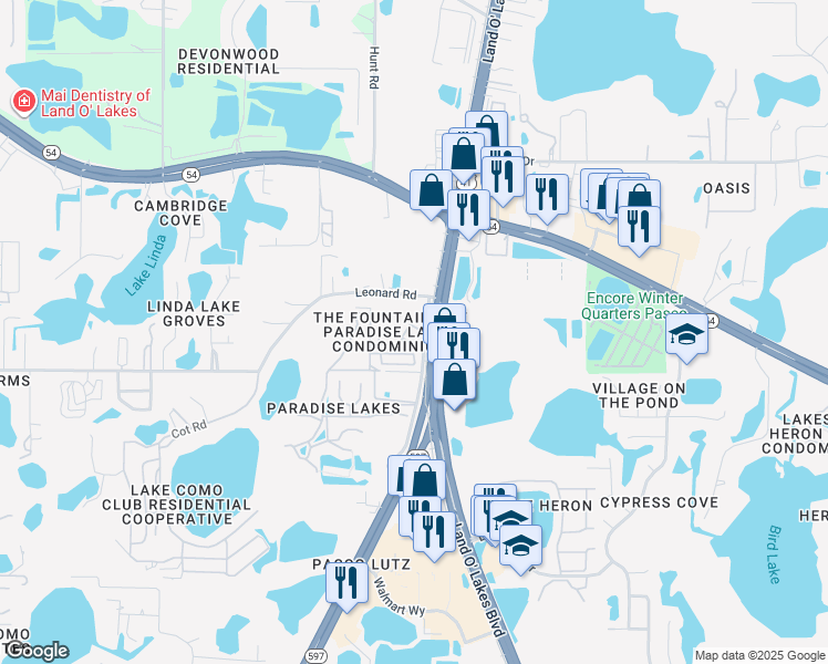map of restaurants, bars, coffee shops, grocery stores, and more near 2127 Brinson Road in Lutz