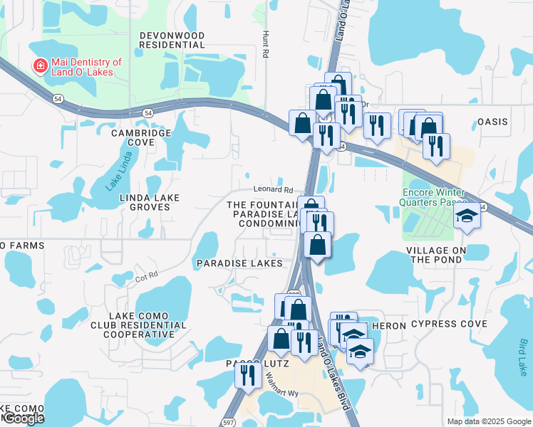 map of restaurants, bars, coffee shops, grocery stores, and more near 2007 Brinson Road in Lutz