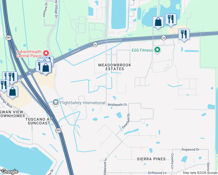 map of restaurants, bars, coffee shops, grocery stores, and more near 2100 Meadowbrook Drive in Lutz