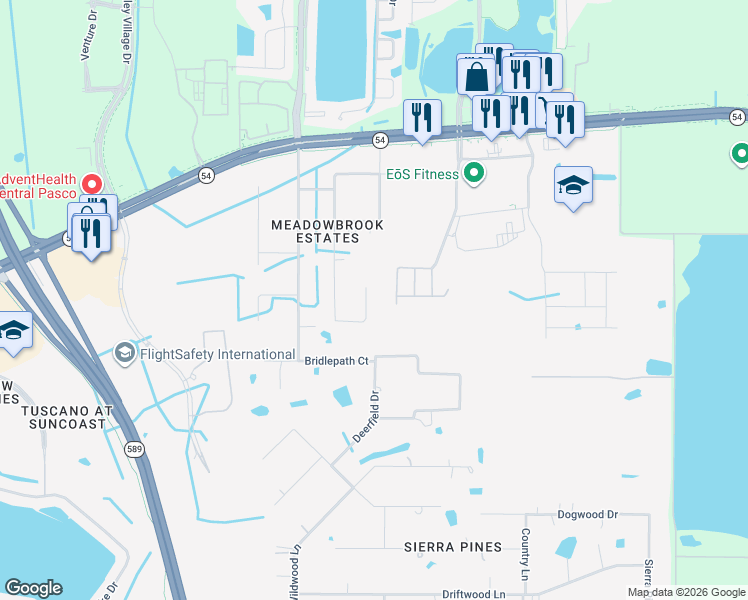 map of restaurants, bars, coffee shops, grocery stores, and more near 17320 Raintree Road in Lutz