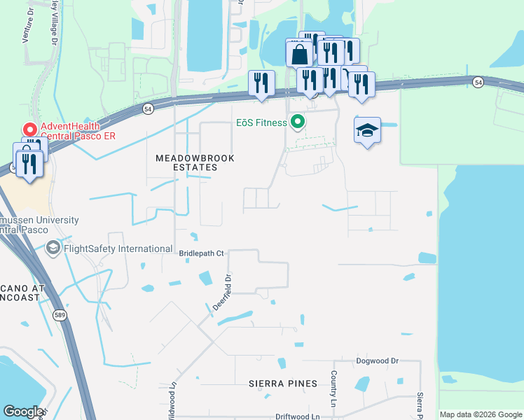 map of restaurants, bars, coffee shops, grocery stores, and more near 17512 Radiant Shine Way in Lutz
