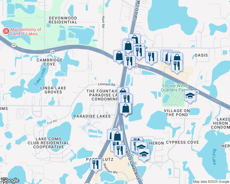 map of restaurants, bars, coffee shops, grocery stores, and more near 2127 Brinson Road in Lutz