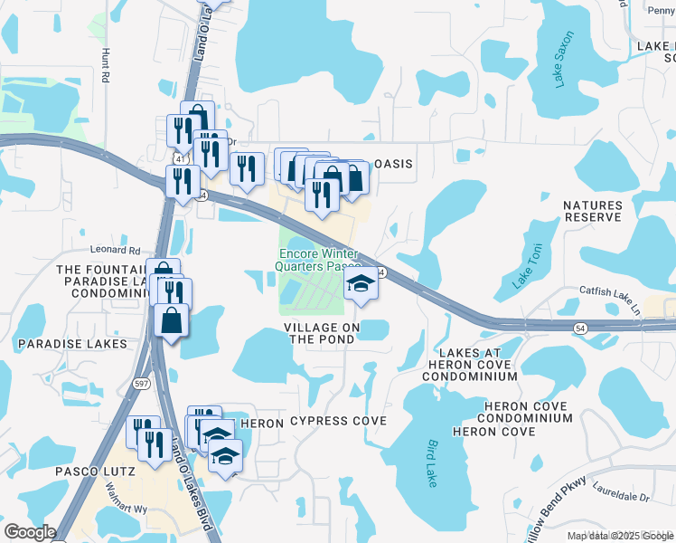 map of restaurants, bars, coffee shops, grocery stores, and more near 21632 Florida 54 in Lutz