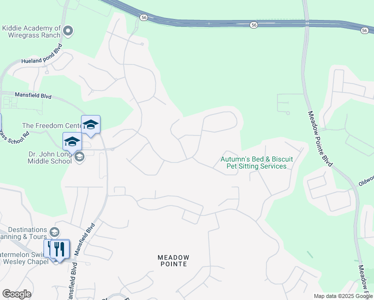 map of restaurants, bars, coffee shops, grocery stores, and more near 2165 Hollow Forest Court in Wesley Chapel