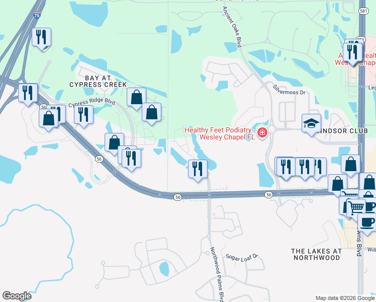 map of restaurants, bars, coffee shops, grocery stores, and more near 2210 Marshview Drive in Wesley Chapel