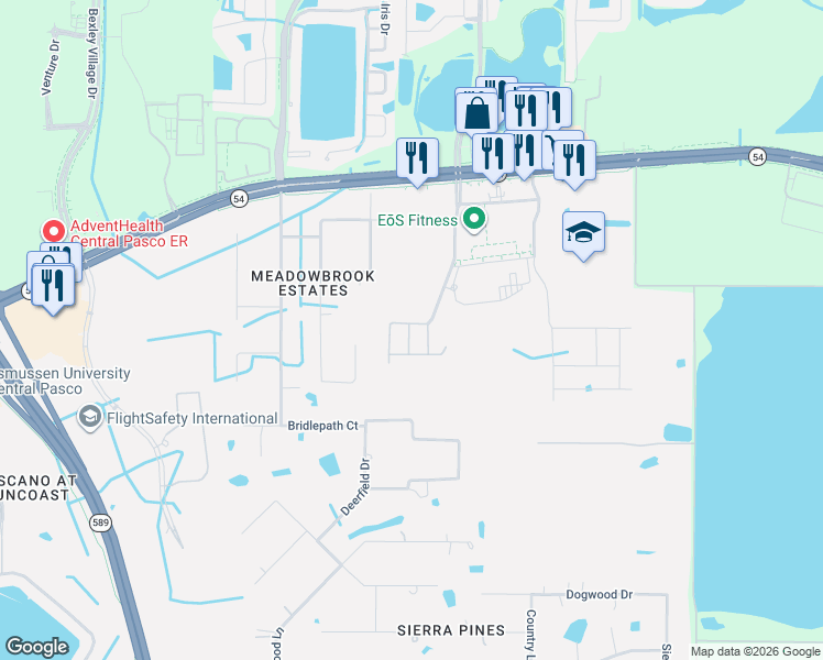 map of restaurants, bars, coffee shops, grocery stores, and more near 17304 Riverstone Drive in Lutz