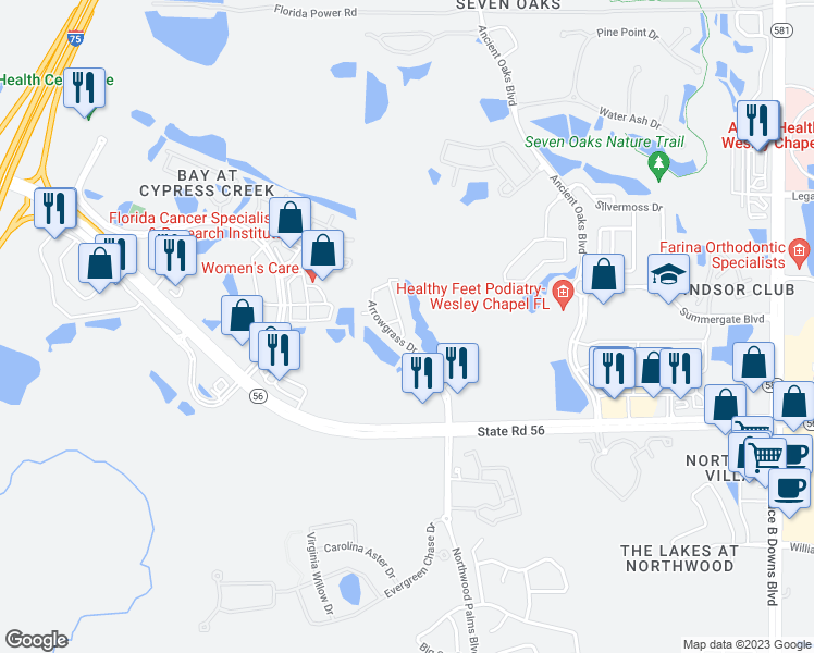 map of restaurants, bars, coffee shops, grocery stores, and more near 2210 Marshview Drive in Wesley Chapel