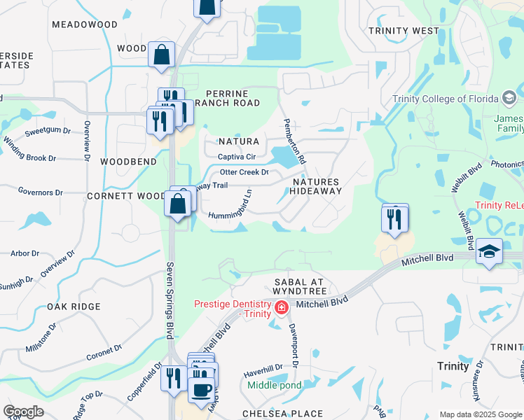 map of restaurants, bars, coffee shops, grocery stores, and more near 7321 Swan Lake Drive in New Port Richey