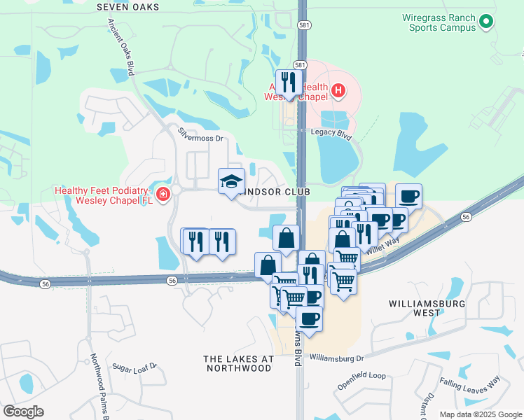 map of restaurants, bars, coffee shops, grocery stores, and more near 27802 Summergate Boulevard in Wesley Chapel