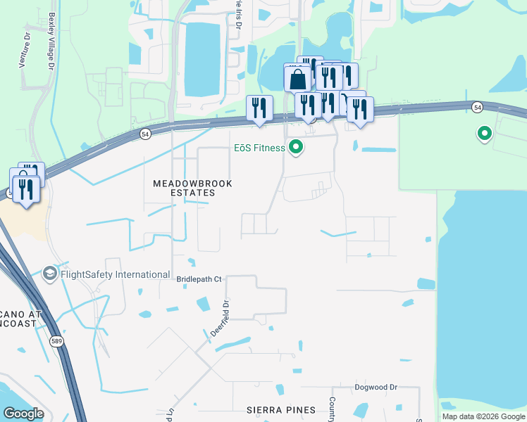 map of restaurants, bars, coffee shops, grocery stores, and more near 17304 Riverstone Drive in Lutz