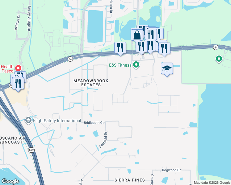 map of restaurants, bars, coffee shops, grocery stores, and more near 17304 Riverstone Drive in Lutz