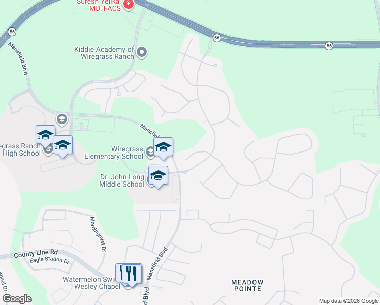map of restaurants, bars, coffee shops, grocery stores, and more near 30351 Tristania Court in Wesley Chapel