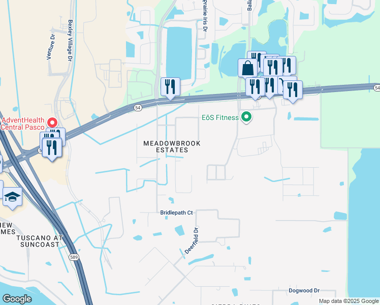 map of restaurants, bars, coffee shops, grocery stores, and more near 17304 Riverstone Drive in Lutz