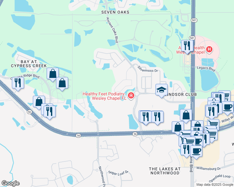 map of restaurants, bars, coffee shops, grocery stores, and more near 27629 Kirkwood Circle in Wesley Chapel