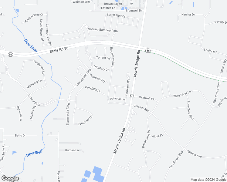map of restaurants, bars, coffee shops, grocery stores, and more near Alee Ln in Wesley Chapel