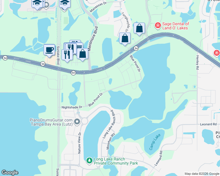 map of restaurants, bars, coffee shops, grocery stores, and more near 19319 Blue Pond Drive in Lutz