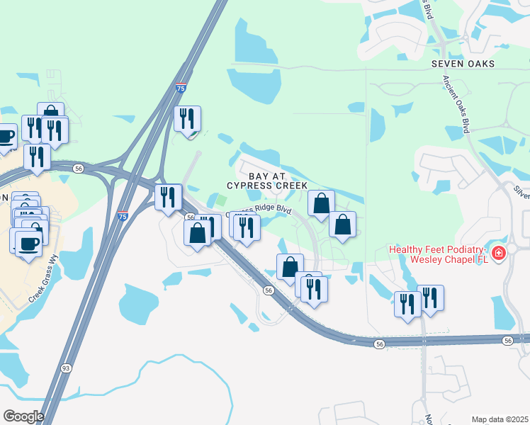 map of restaurants, bars, coffee shops, grocery stores, and more near 2695 Cypress Ridge Boulevard in Wesley Chapel