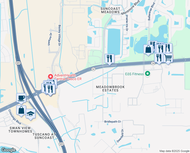 map of restaurants, bars, coffee shops, grocery stores, and more near 2404 Brookside Drive in Lutz
