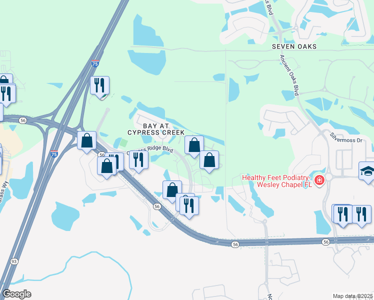 map of restaurants, bars, coffee shops, grocery stores, and more near 2695 Cypress Ridge Boulevard in Wesley Chapel