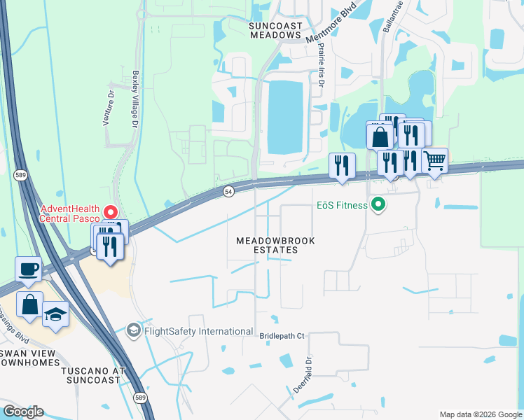 map of restaurants, bars, coffee shops, grocery stores, and more near 2406 Meadowbrook Drive in Lutz