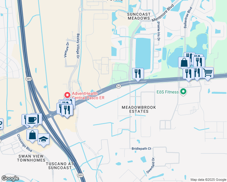 map of restaurants, bars, coffee shops, grocery stores, and more near 17004 Florida 54 in Lutz