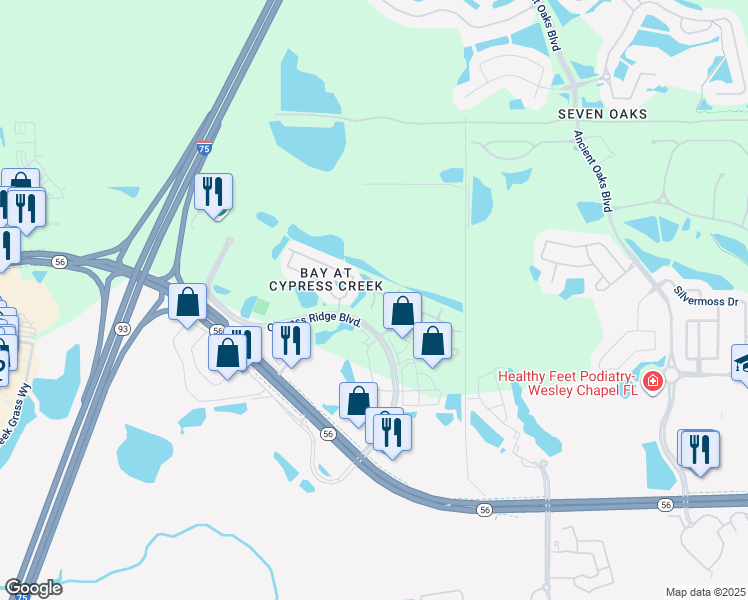 map of restaurants, bars, coffee shops, grocery stores, and more near 2552 Glenrise Place in Wesley Chapel