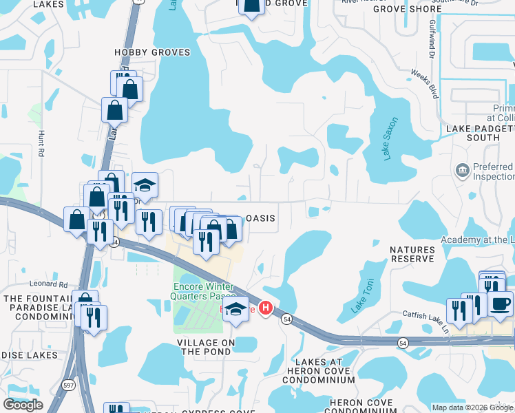 map of restaurants, bars, coffee shops, grocery stores, and more near 2508 Earlene Drive in Land O' Lakes