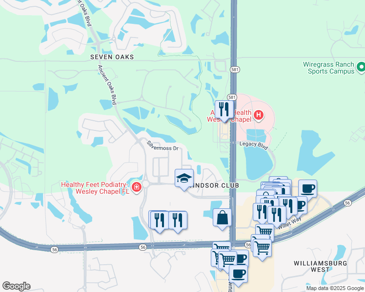 map of restaurants, bars, coffee shops, grocery stores, and more near 2520 Silvermoss Drive in Wesley Chapel