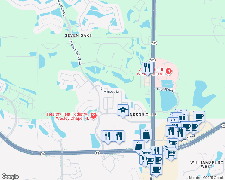 map of restaurants, bars, coffee shops, grocery stores, and more near 2606 Silvermoss Drive in Wesley Chapel