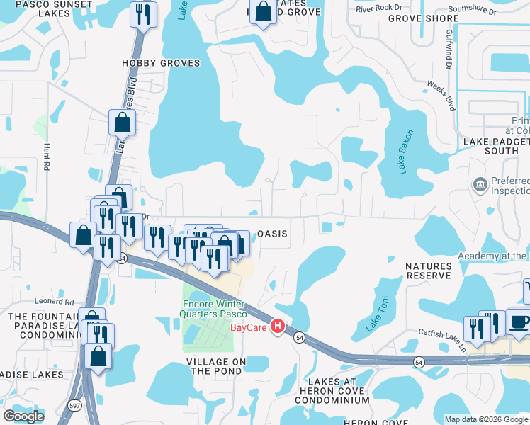 map of restaurants, bars, coffee shops, grocery stores, and more near 2508 Earlene Drive in Land O' Lakes