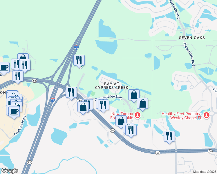 map of restaurants, bars, coffee shops, grocery stores, and more near 26554 Chimney Spire Lane in Wesley Chapel