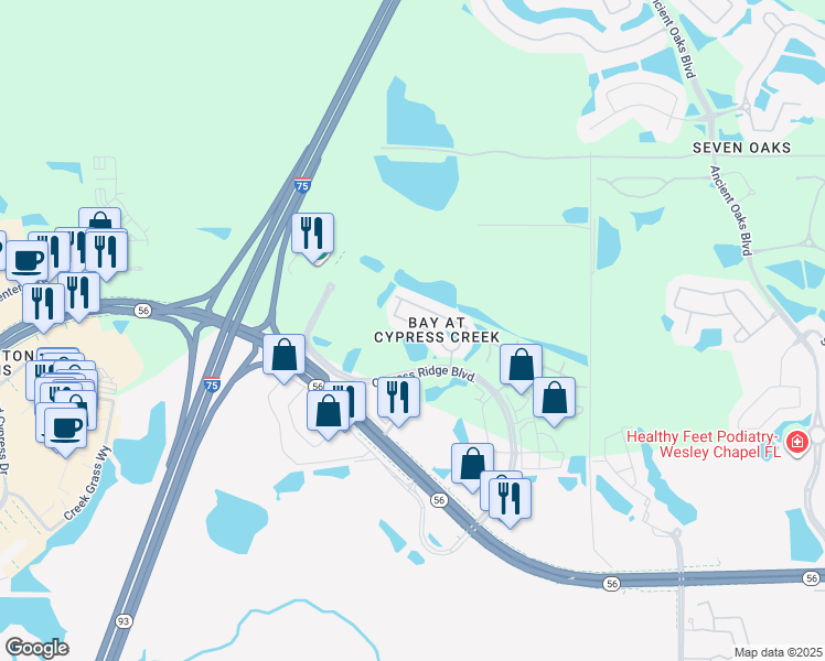 map of restaurants, bars, coffee shops, grocery stores, and more near 26536 Chimney Spire Lane in Wesley Chapel