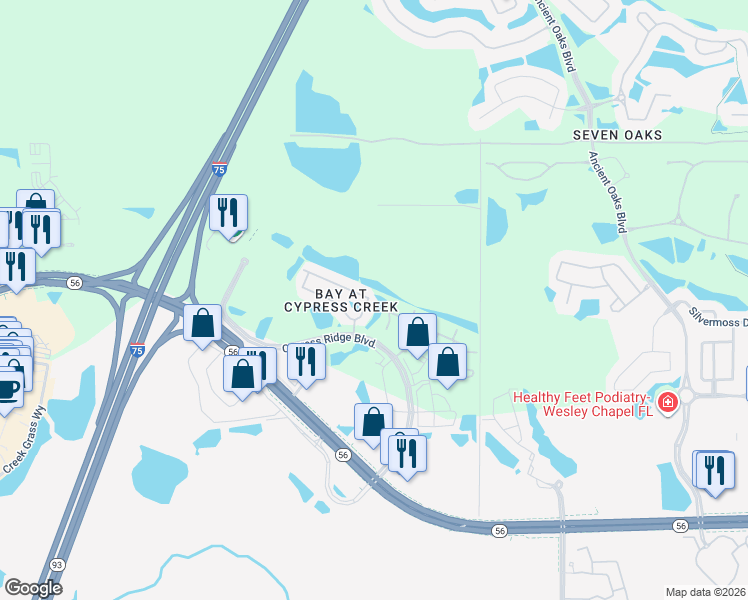 map of restaurants, bars, coffee shops, grocery stores, and more near 2552 Glenrise Place in Wesley Chapel