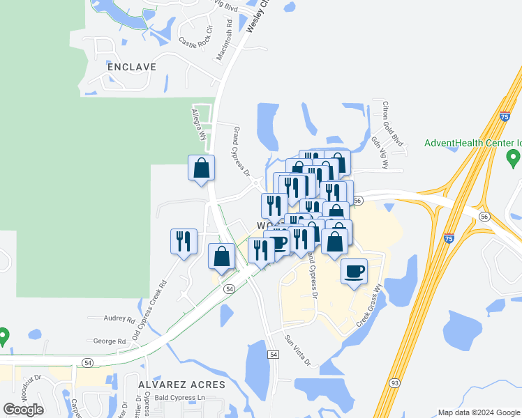 map of restaurants, bars, coffee shops, grocery stores, and more near 25200-25242 Wesley Chapel Blvd in Lutz