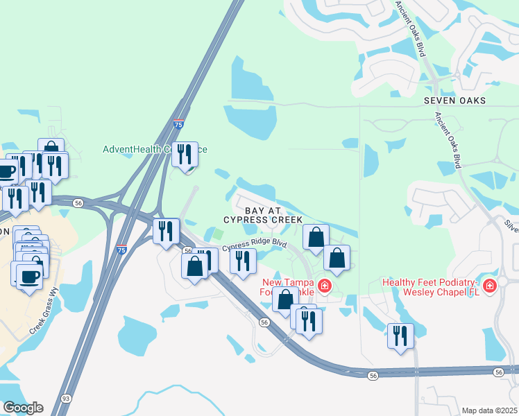 map of restaurants, bars, coffee shops, grocery stores, and more near 26612 Castleview Way in Wesley Chapel