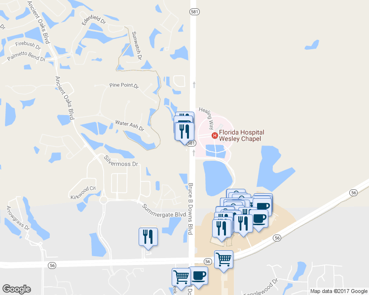 map of restaurants, bars, coffee shops, grocery stores, and more near 2653 Bruce B Downs Boulevard in Wesley Chapel