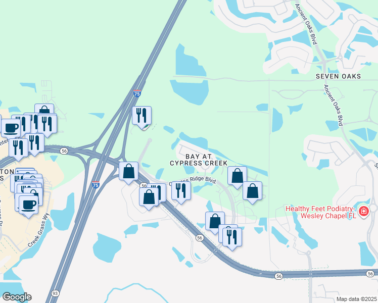 map of restaurants, bars, coffee shops, grocery stores, and more near 26536 Chimney Spire Lane in Wesley Chapel
