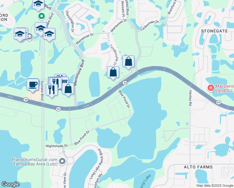 map of restaurants, bars, coffee shops, grocery stores, and more near Highway 54 in Lutz